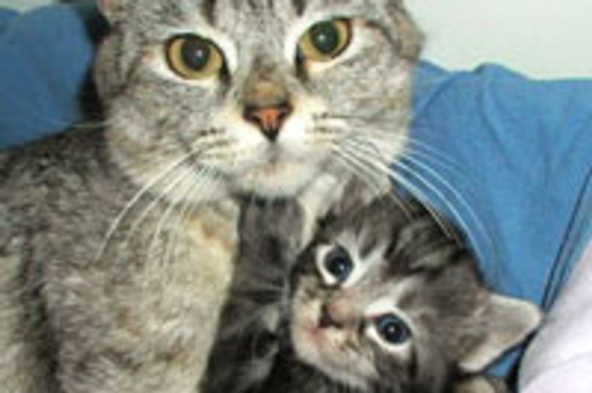 Hold Still Little Fuzzball!