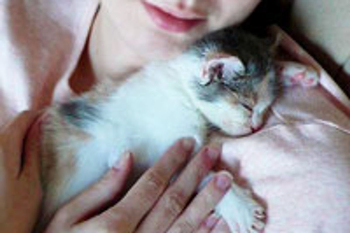 Shoulder is for Cat Naps