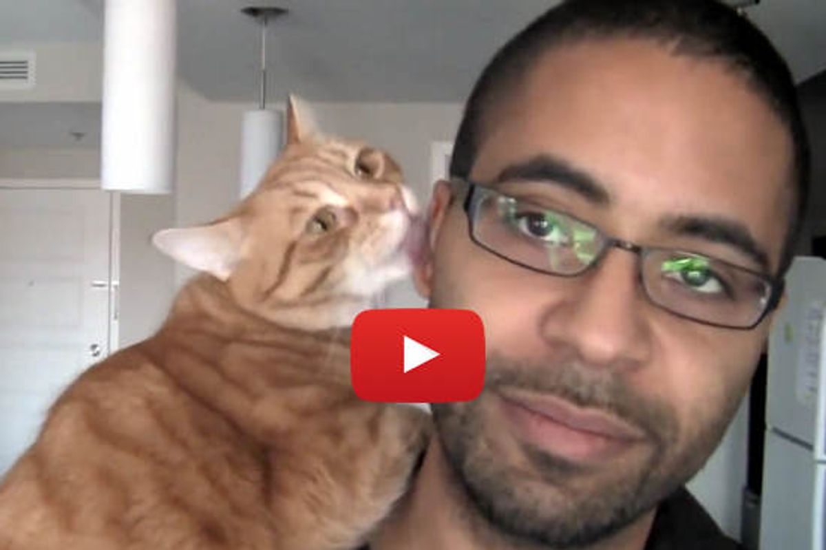 Affectionate Kitty Loves Pizza Box