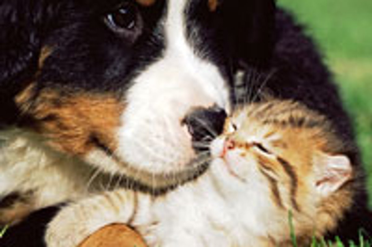 You Are My Bestest Furiend!