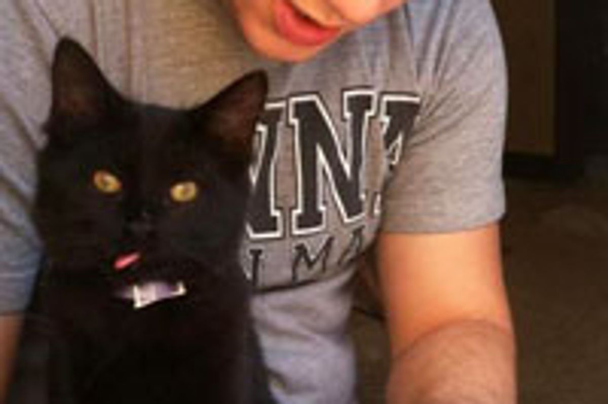 Kitty Not Impressed!