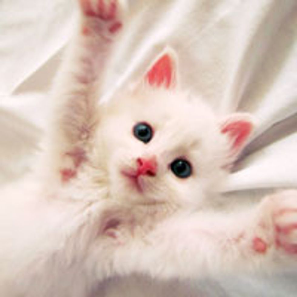 I Can Have Hug Now?