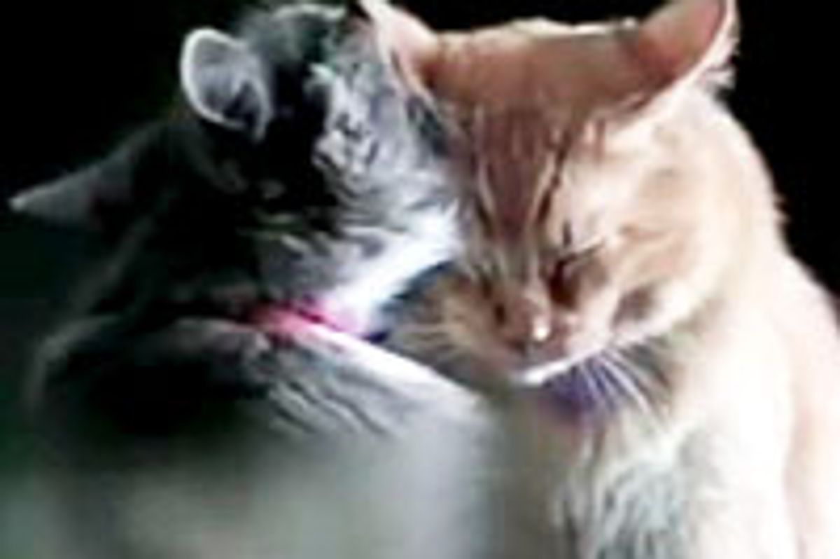 Would You Be My Valentine?