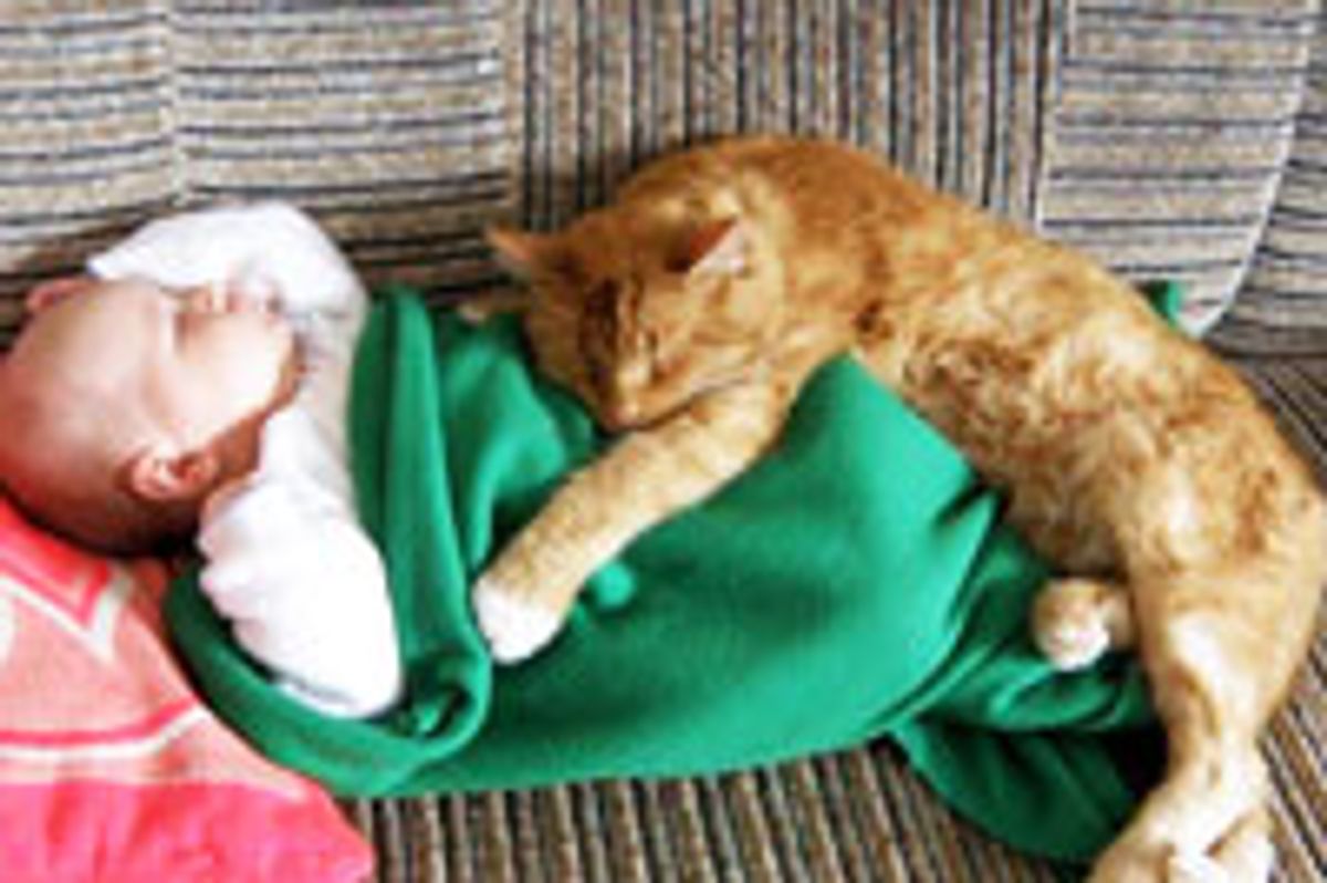 I am Your Furry Blankie