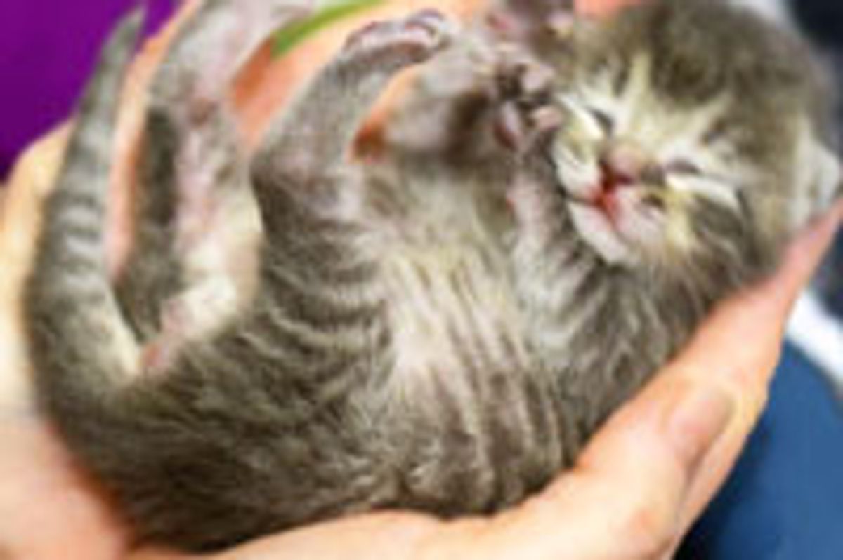 Beginning to a Brand New Life