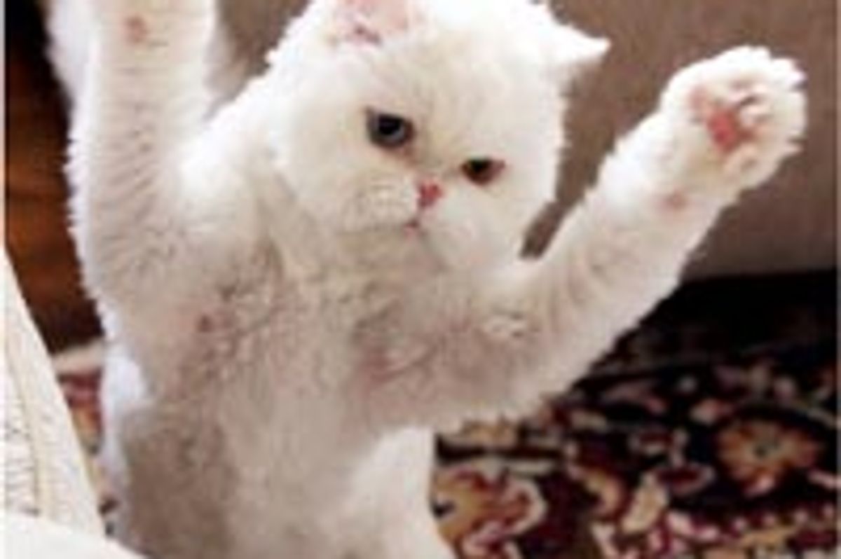 Rawr! Attack of the Cute and Fluffy