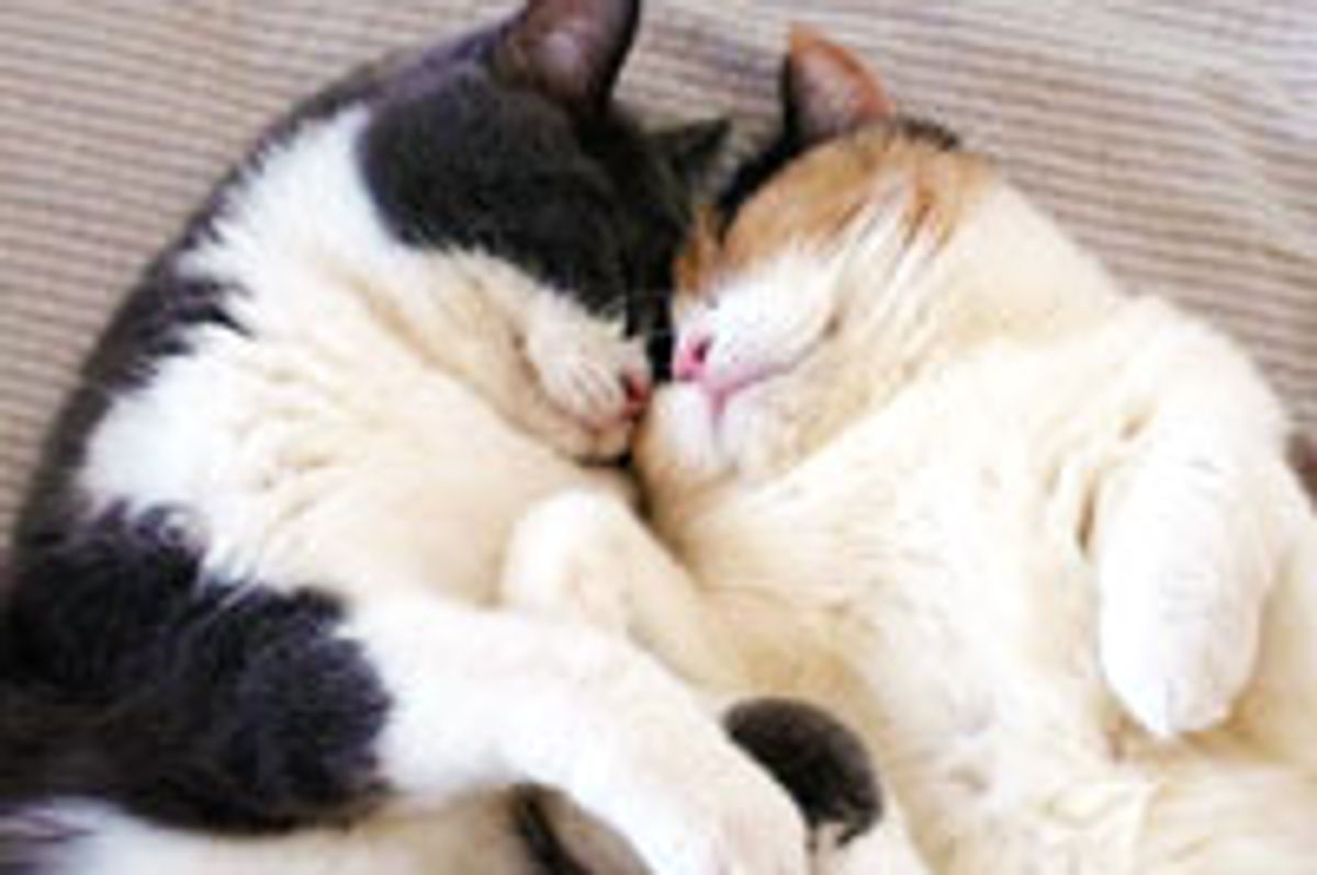 Arms Crossed, Hearts Locked