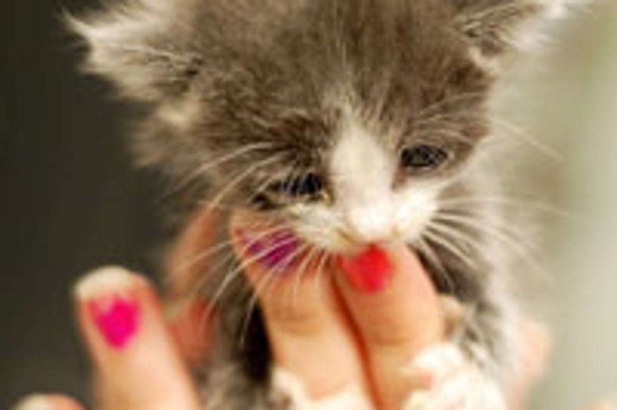 Tiny Fuzzy Finger Kisser