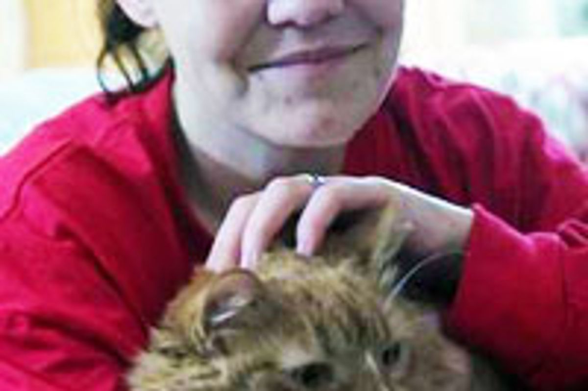 Pudding the Cat Saves Owner's Life Hours After Being Adopted