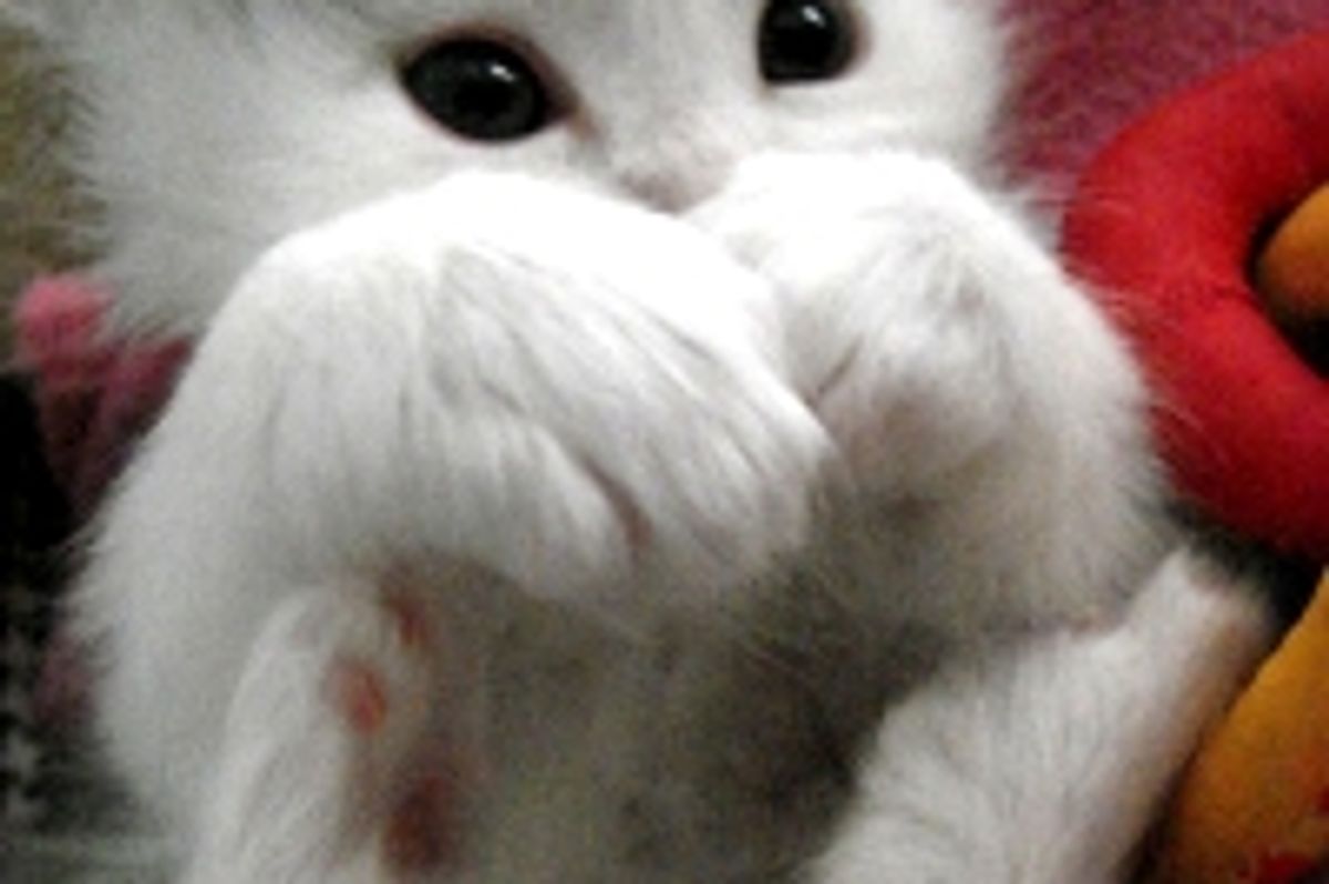 I am Hidden Behind My Mittens
