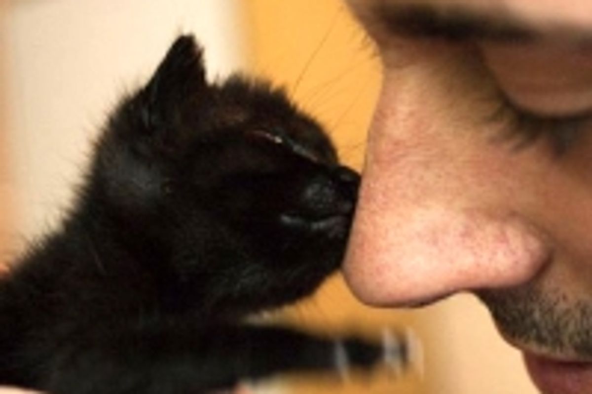 Kitty is Thankful for a Second Chance