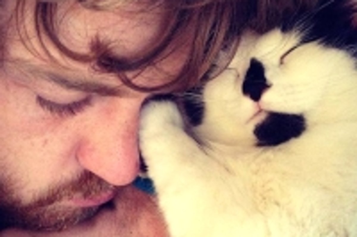 Kitty Cuddles Her Dad to Sleep