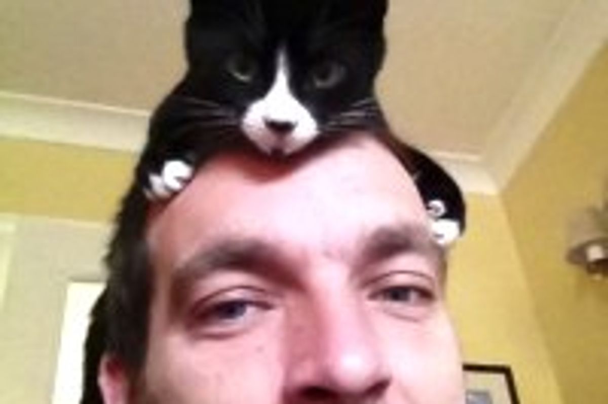 Kitty Impersonates a Hat