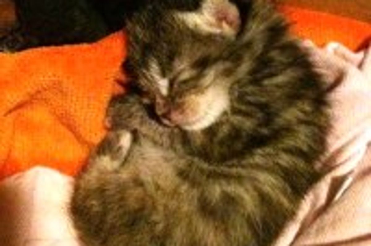 Tiny Ball of Cute Finds Hope