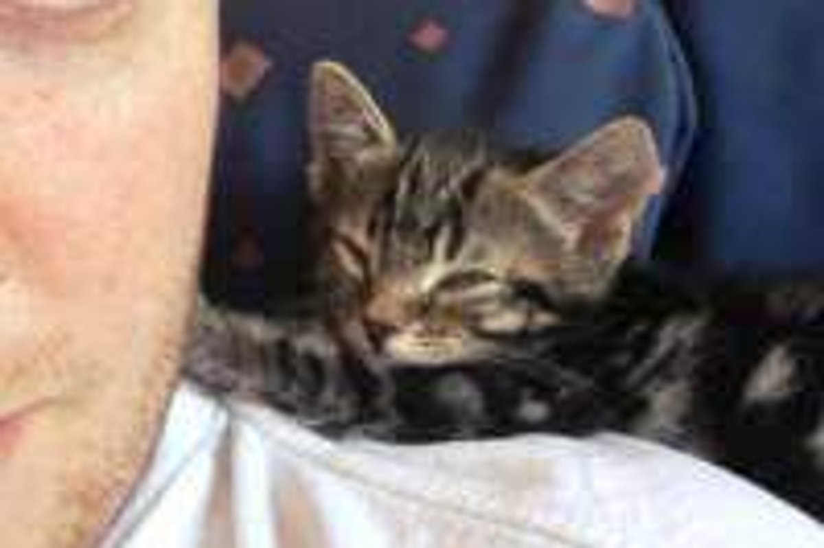 A Man's Best Furiend