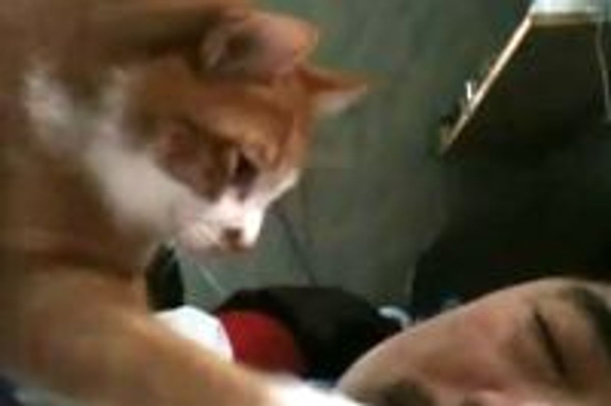 6 O'Clock Morning Call