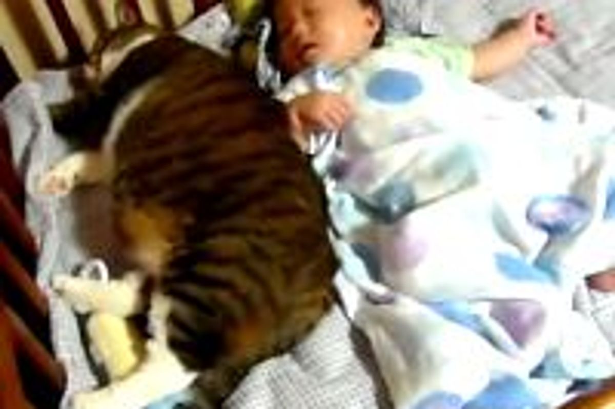 Kitty Napping with Best Human Friend