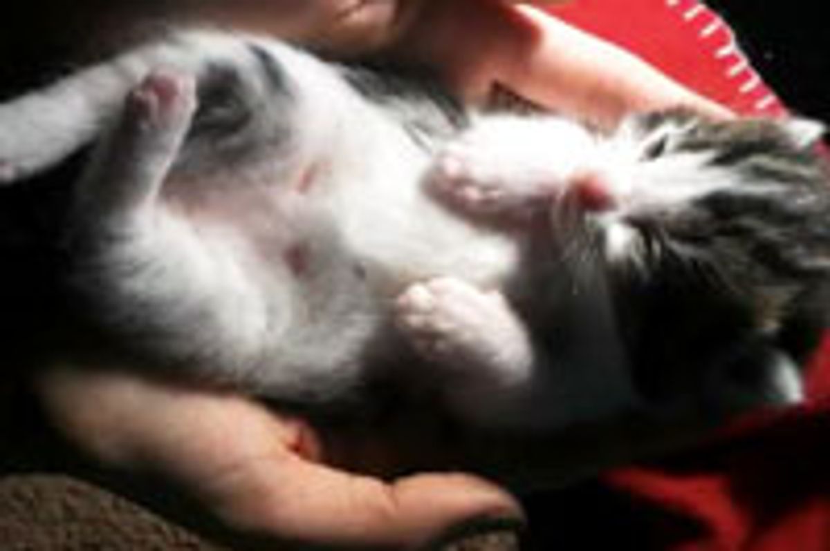 When the Sleepy Bug Bites...