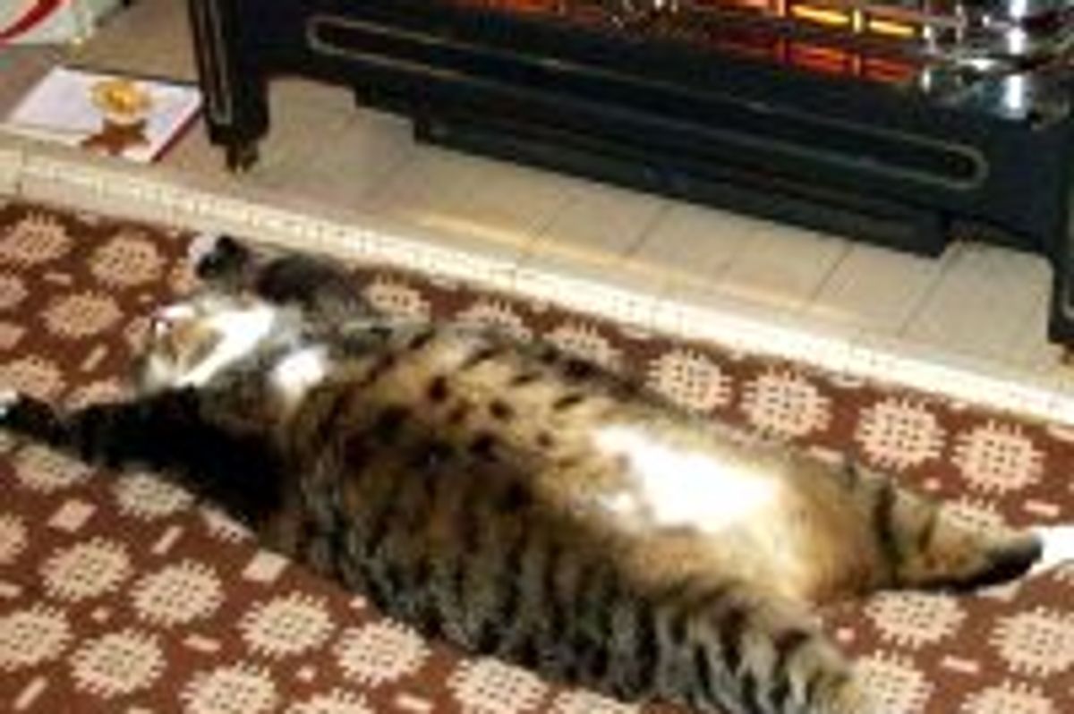 Just Relaxin' and Warming the Belly