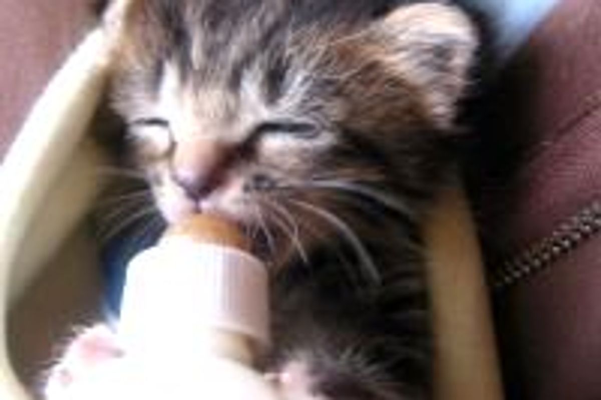 My Bottle! Nom!