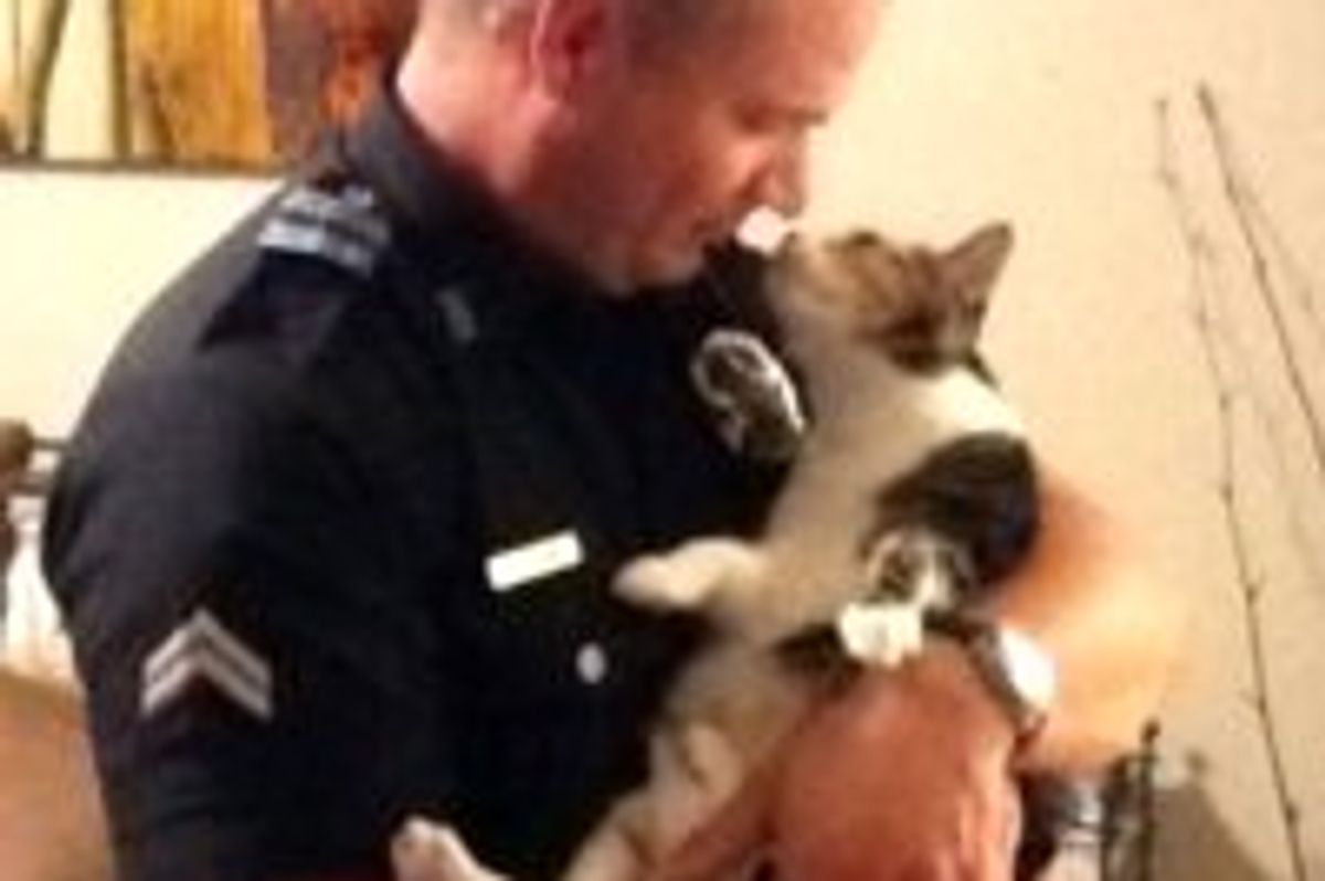 Police Officer & His Beloved Rescue Cats