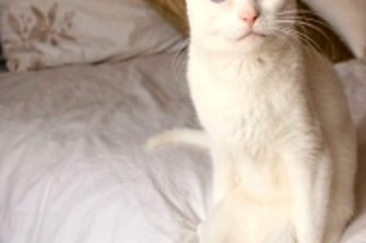 This is How She Sits Everyday