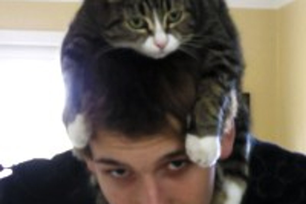 She Meows & Meows Until Her Dad Does This