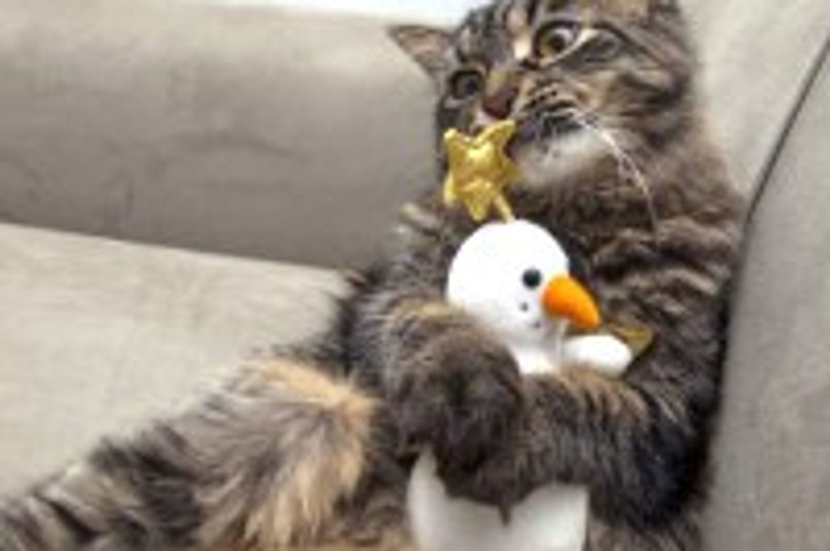 Bubbles the Kitty and His Sidekick the Snowman