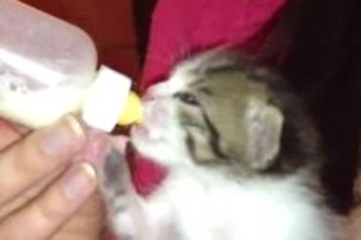 Moses the Rescue Loves His Bottle