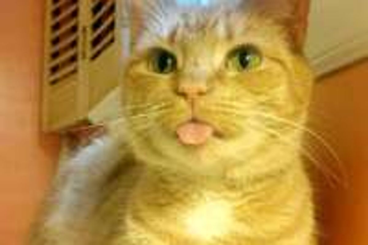 She Can't Keep Her Tongue in and Needs a Name