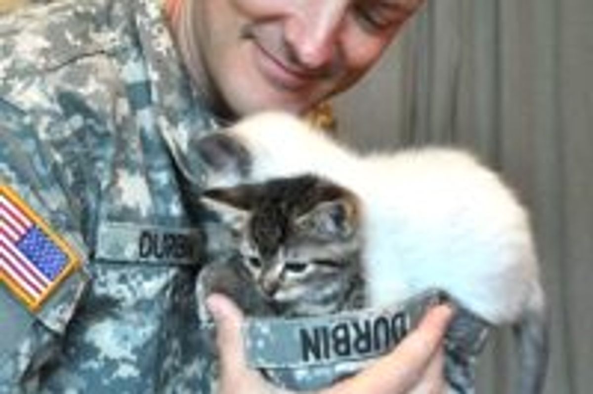 Foster Kitties Get Visitor in Uniform