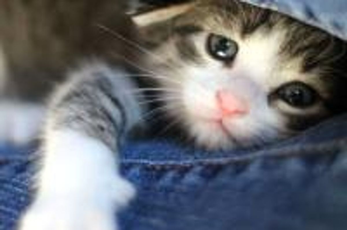 Why Human Can't Move for Hours