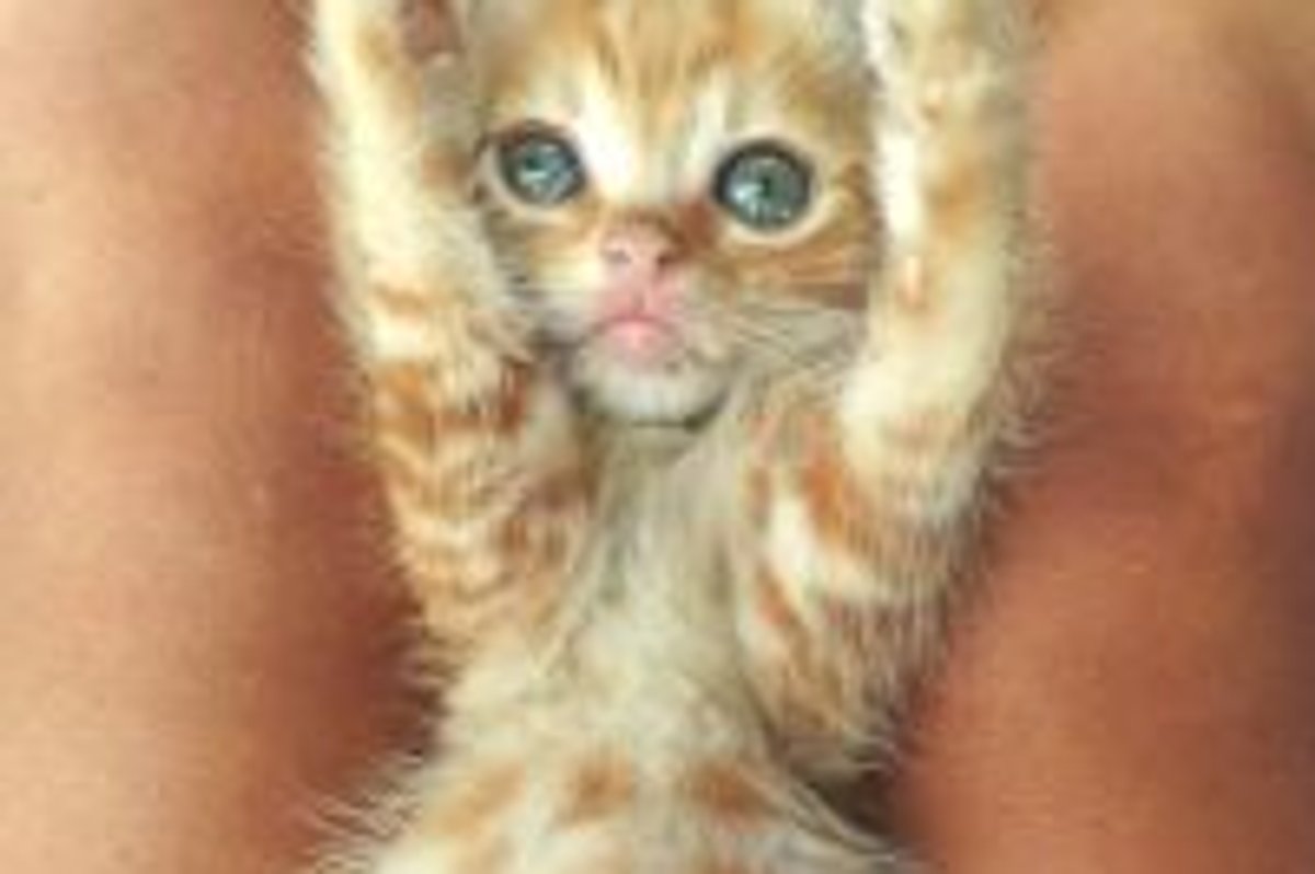 It Is This Big!