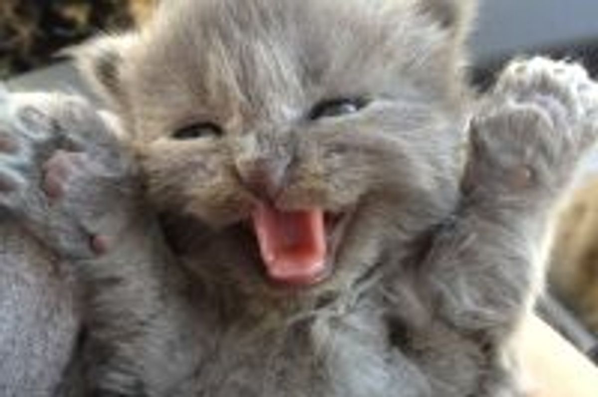 Yay! Monday is Over!