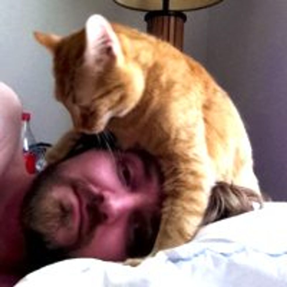 Every Morning, Four Years, and Counting