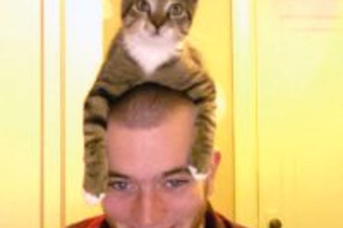 How Kitty Chills Everyday