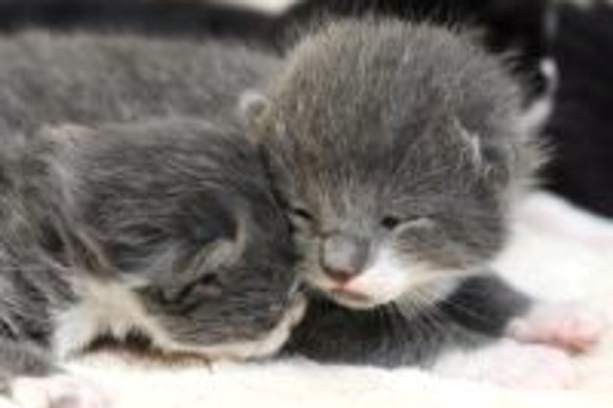 Never Be Apart, Then & Now