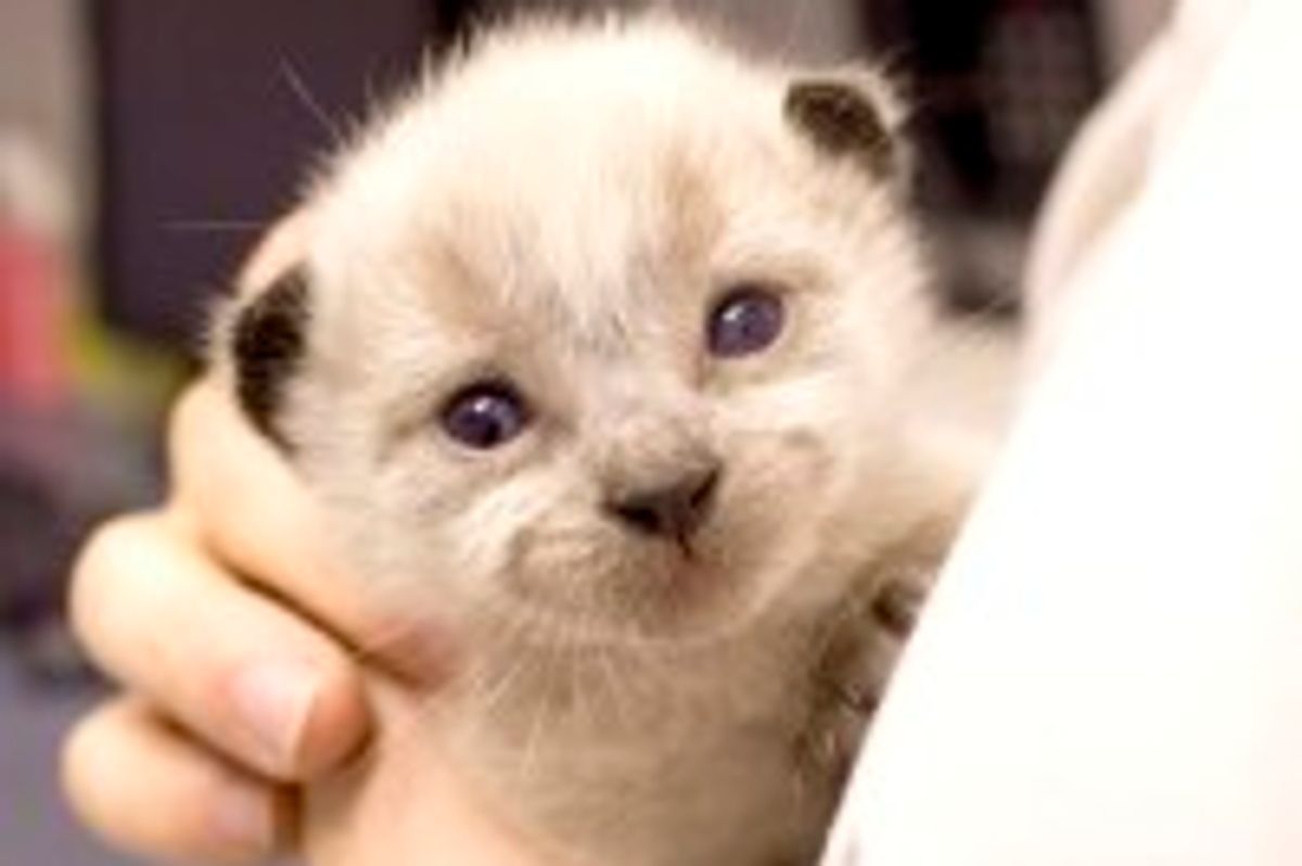 Little Gem Found in Park Gets His First Bottle