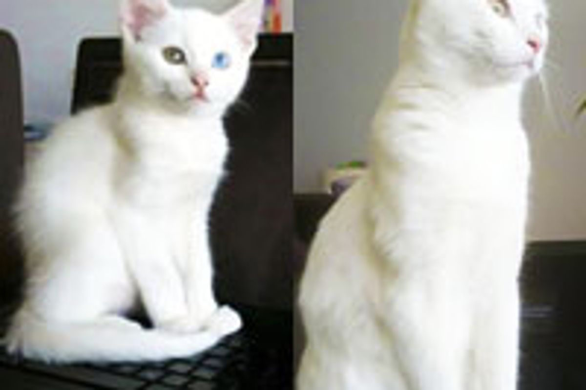 Then & Now: If It's Warm, I Sit