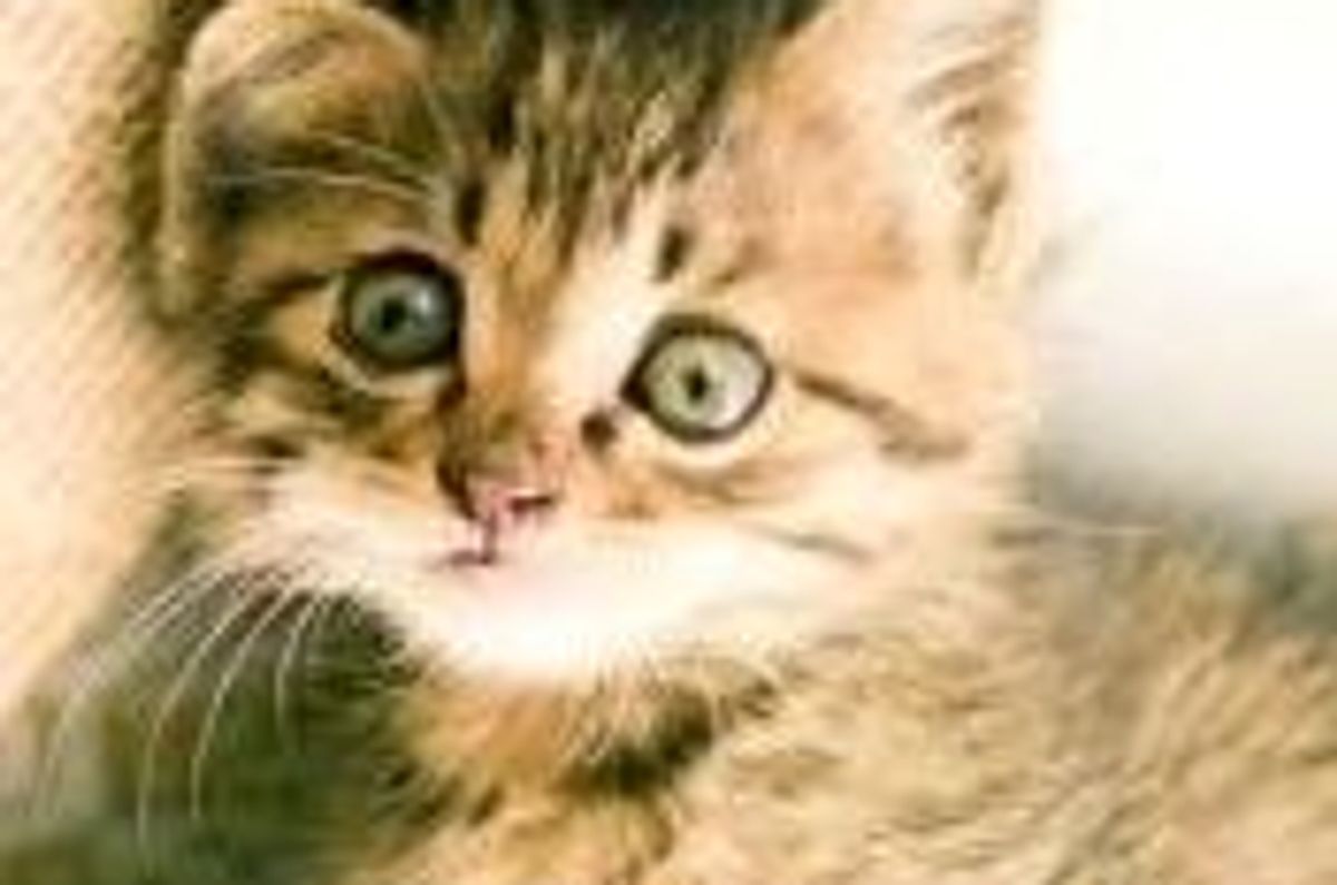 Small, Sweet, Clingy and Super Cute