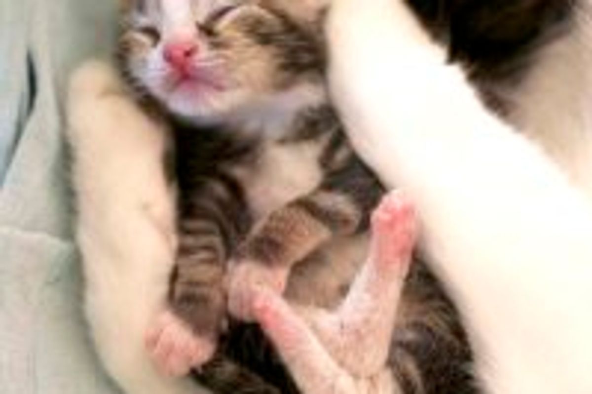 Little Cradled Baby, Then & Now