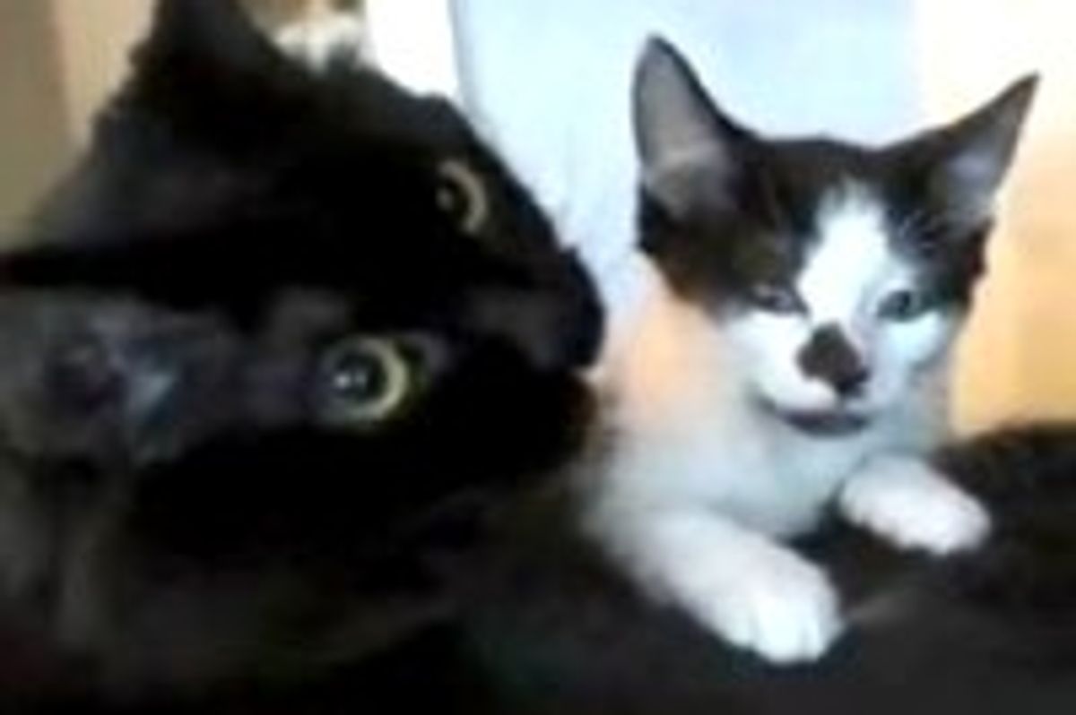 Love Will Keep Us Together