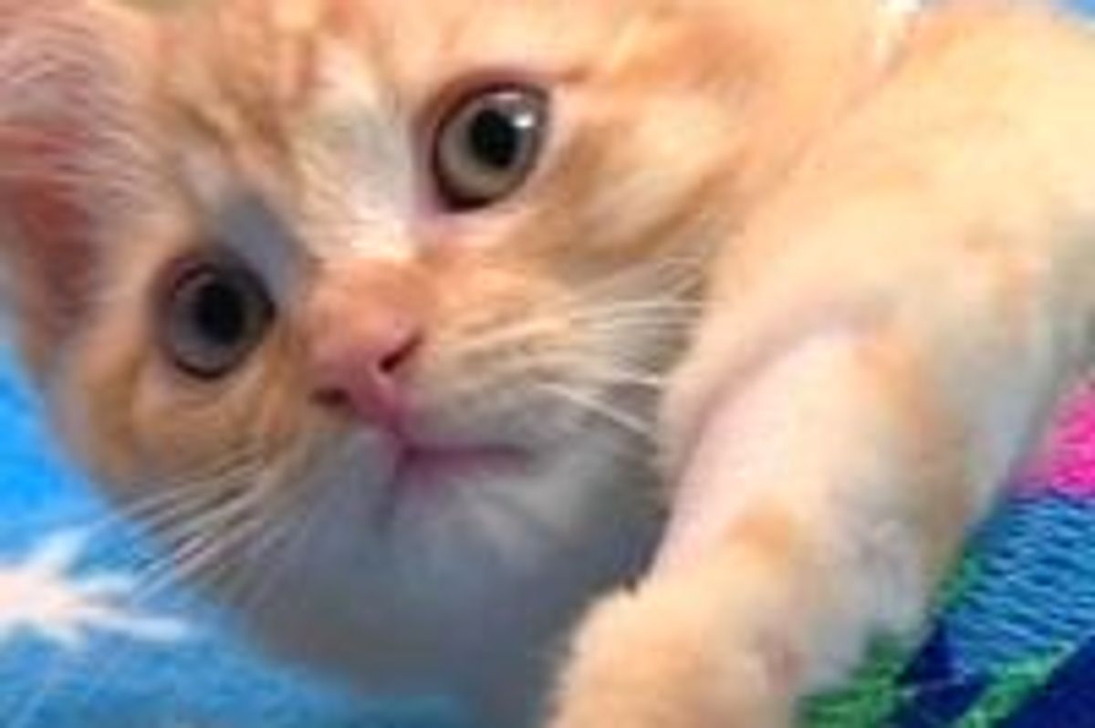 Paolo Born with Birth Defect: Journey to New Life