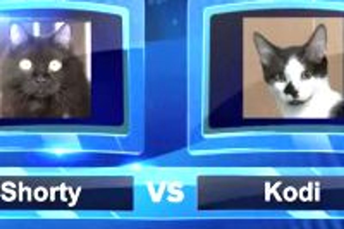 The Felympics: Hallway Sprint