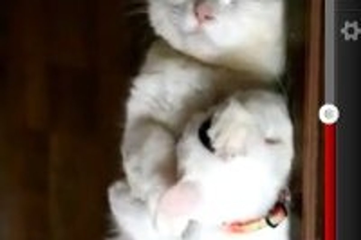Sleeping in the Hallway