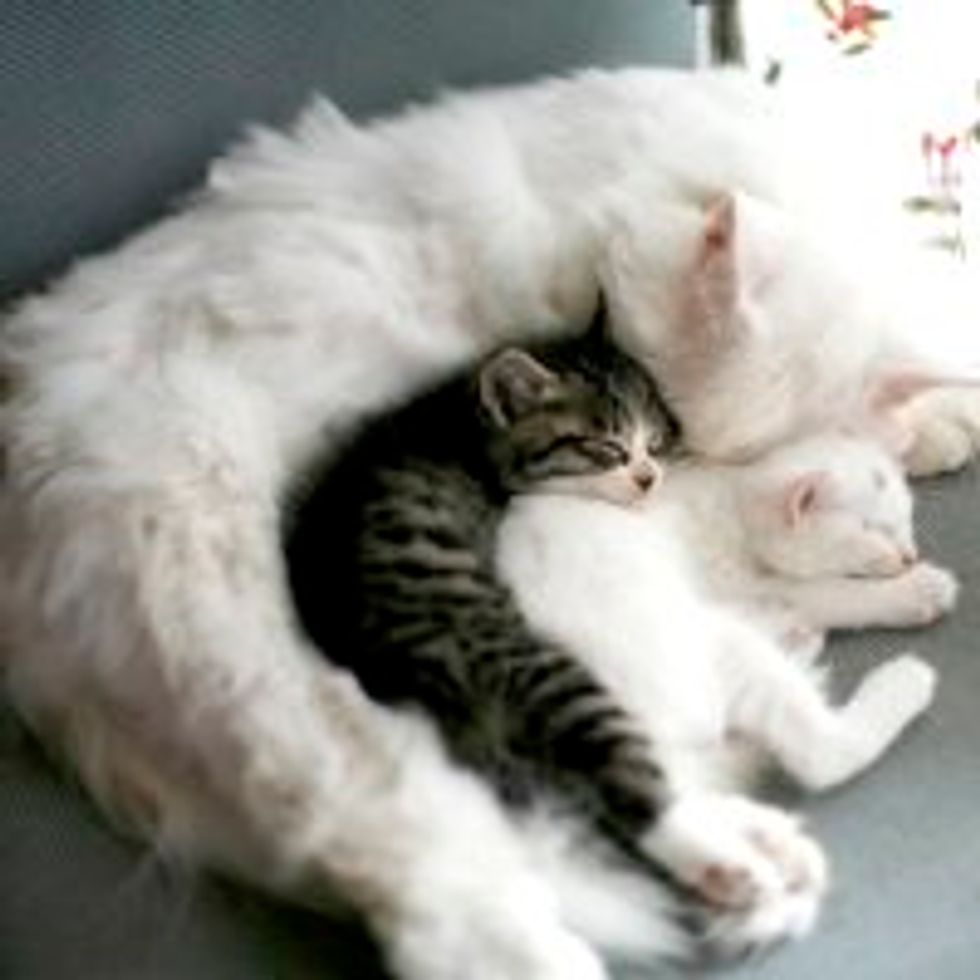Protective Love