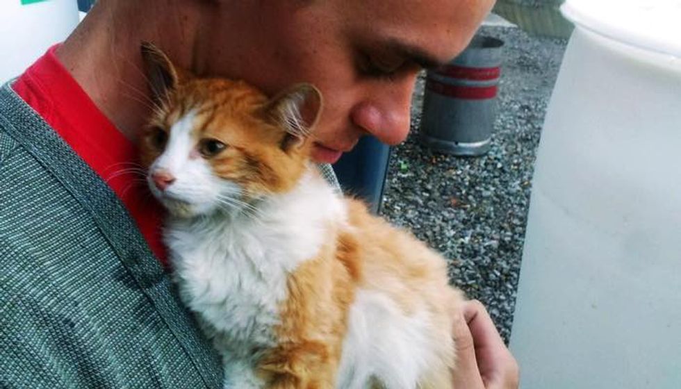 2 Days of Waiting, Kitty Gets Saved from Under a Keg Fridge
