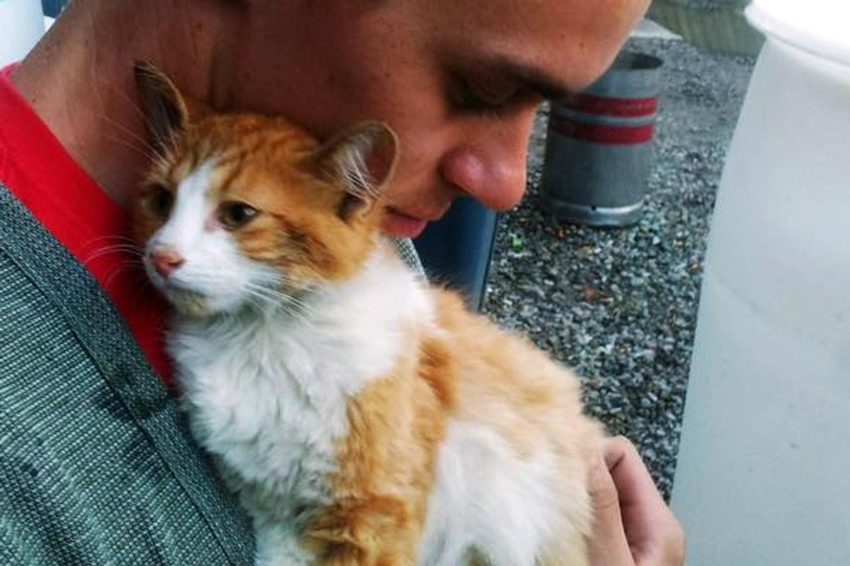 2 Days of Waiting, Kitty Gets Saved from Under a Keg Fridge