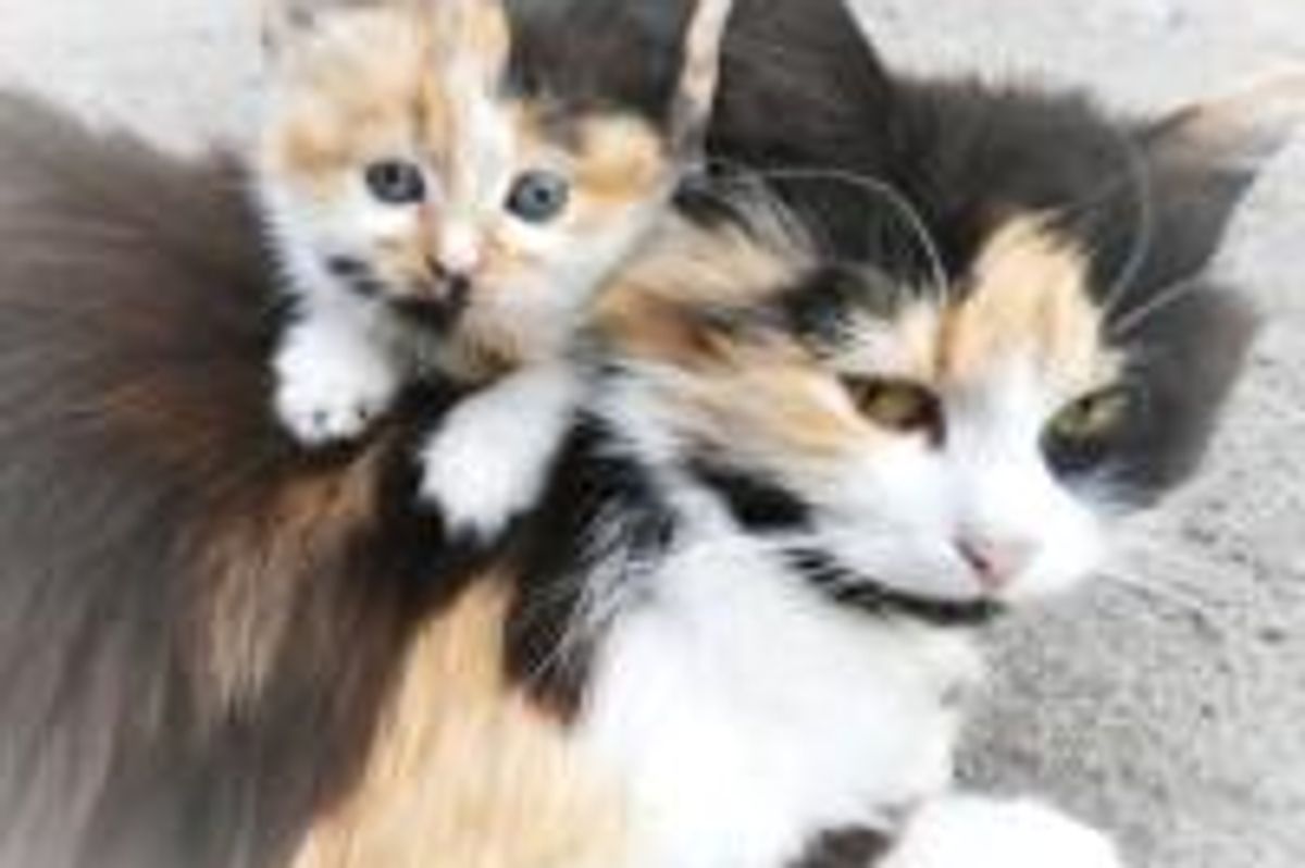 Like Momma Like Daughter