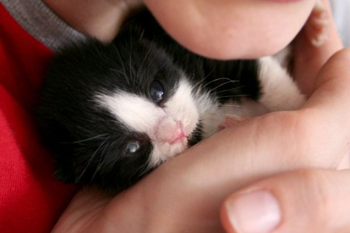 Rescue Tuxedo Squeaky: Then & Now